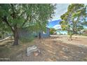 Landscaped front yard with mature trees and xeriscaping at 3823 W Augusta Ave, Phoenix, AZ 85051