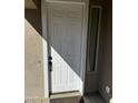 White front door with black hardware, next to a sidelight window at 20216 W Desert Bloom St, Buckeye, AZ 85326