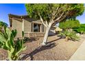 Landscaped front yard with a large tree and cacti near the house at 13506 W Earll Dr, Avondale, AZ 85392