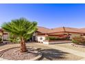 Front yard with palm trees and attractive landscaping at 21222 N 124Th Ave, Sun City West, AZ 85375