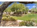 Landscaped grounds with lush grass, mature trees, and desert plants at 10044 E Graythorn Dr, Scottsdale, AZ 85262
