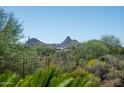 Scenic view of desert mountains from behind a wrought iron fence at 29630 N 107Th Pl, Scottsdale, AZ 85262