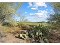Image shows desert landscape with cacti and shrubs at 9220 E Whitethorn Cir, Scottsdale, AZ 85266