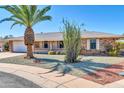 Brick ranch style home with a large palm tree in the front yard at 16828 N 108Th Ave, Sun City, AZ 85351