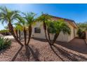 Single-story home with desert landscaping and palm trees at 2222 S Yellow Wood --, Mesa, AZ 85209