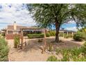 Spacious backyard with mature trees and playset at 19222 N 133Rd Ave, Sun City West, AZ 85375