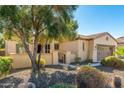 Tan stucco house with a brown garage door, mature tree, and desert landscaping at 27789 N 129Th Ln, Peoria, AZ 85383