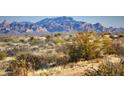 Mountainous desert landscape with cacti and shrubs at 24450 N 132Nd Pl, Scottsdale, AZ 85255