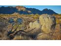 Desert landscape with mountains in background and large rocks at 24450 N 132Nd Pl, Scottsdale, AZ 85255