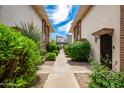 Pathway between buildings with lush landscaping at 4848 N Woodmere Fairway -- # 15, Scottsdale, AZ 85251