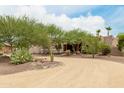 Landscaped front yard with gravel driveway and desert plants at 11305 S 195Th Dr, Buckeye, AZ 85326