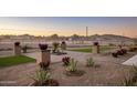 Landscaped front yard with attractive stonework and desert plants at 28847 N Royce Rd, San Tan Valley, AZ 85144