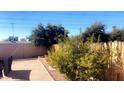 Small backyard with gravel ground cover and wooden fence at 9618 N 66 Dr, Glendale, AZ 85302