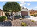 One-story home with brown garage door and landscaped yard at 21613 N 261St Ave, Buckeye, AZ 85396