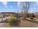 Charming single-level home with a spacious front yard and walkway at 758 Kachina Ave, Wickenburg, AZ 85390