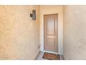 Front entry with modern door and light fixture at 9121 W Debbie Ln, Arizona City, AZ 85123