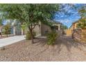 Front yard view of a house with gravel landscaping and a tree at 40500 W Shaver Dr, Maricopa, AZ 85138