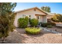Tan house with landscaped yard and walkway at 907 E 9Th Ave, Mesa, AZ 85204