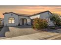 Front view of a beautiful home with landscaping at 17197 W Thousand Oaks St, Surprise, AZ 85388