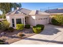 Single-story home with a two-car garage and well-maintained landscaping at 11544 W Javelina Ct, Surprise, AZ 85378
