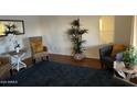 Living room with two armchairs, rug, and plants at 3270 S Goldfield Rd # 217, Apache Junction, AZ 85119