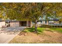 Ranch style home with carport and mature tree at 10908 W Peoria Ave, Sun City, AZ 85351