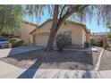 Tan house with a large tree in front and gravel landscaping at 2521 W Oberlin Way, Phoenix, AZ 85085