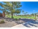 Landscaped community green space with palm trees at 38318 N La Grange Ln, San Tan Valley, AZ 85140