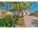 Landscaped front yard with mature trees and brick paver driveway at 3525 N Carlton St, Buckeye, AZ 85396