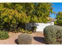 Landscaped front yard with desert plants and shrubs at 9382 E Aster Dr, Scottsdale, AZ 85260
