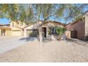 House exterior showcasing a tree and gravel landscaping at 41208 W Bravo Dr, Maricopa, AZ 85138