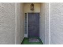 Front entry with an ornate security door and a small welcome mat at 9303 W Morrow Dr, Peoria, AZ 85382