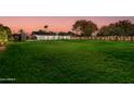 Expansive grassy backyard with mature trees and landscape lighting at 8701 E Highland Ave, Scottsdale, AZ 85251