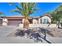 Tan house with brown garage door and a palm tree in front at 2596 E Desert Wind Dr, Casa Grande, AZ 85194