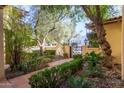 Inviting walkway leading to the entrance, surrounded by mature trees and shrubs at 7500 E Mccormick Pkwy # 29, Scottsdale, AZ 85258