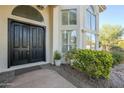 Elegant entryway with double doors and manicured landscaping at 9948 N 119Th Pl, Scottsdale, AZ 85259