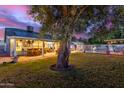 Home's backyard features a pool, patio, and mature tree at 2328 N Roca St, Mesa, AZ 85213