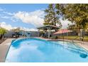 Inviting swimming pool with a Route 66 mural and covered patio at 2328 N Roca St, Mesa, AZ 85213
