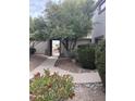 Pathway leading to the entrance with desert plants and trees at 14028 N Edgeworth N Dr # A, Fountain Hills, AZ 85268
