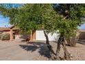 Front view of the house showcasing the garage and mature trees at 714 W Fogal Way, Tempe, AZ 85282