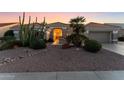 Attractive curb appeal with desert landscaping, including cacti and palm trees at 13555 W Via Tercero --, Sun City West, AZ 85375