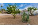 Landscaped front yard with mature plants and cacti at 1825 W Roma Ave, Phoenix, AZ 85015