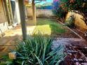 Small grassy backyard with a patio and landscaping at 2415 W Kilarea Ave, Mesa, AZ 85202