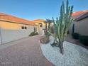 Landscaped front yard with desert plants and gravel at 24809 S Drifter Dr, Sun Lakes, AZ 85248