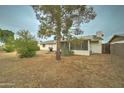 Backyard with covered patio, mature tree, and gravel at 17628 N 39Th Ave, Glendale, AZ 85308