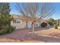 Landscaped front yard with mature trees and red rock at 9333 W Briarwood N Cir, Sun City, AZ 85351