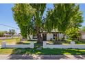 Newly renovated home with a tree in the front yard at 2301 W Montebello Ave, Phoenix, AZ 85015