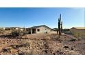 Landscaped backyard with desert vegetation and mountain views at 27112 N 148Th Dr, Surprise, AZ 85387