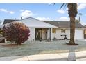 Charming single story home with a landscaped front yard and updated facade at 10035 N 103Rd Dr, Sun City, AZ 85351