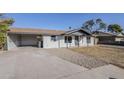 Nice curb appeal with a gravel driveway and small lawn at 1436 E Downing St, Mesa, AZ 85203